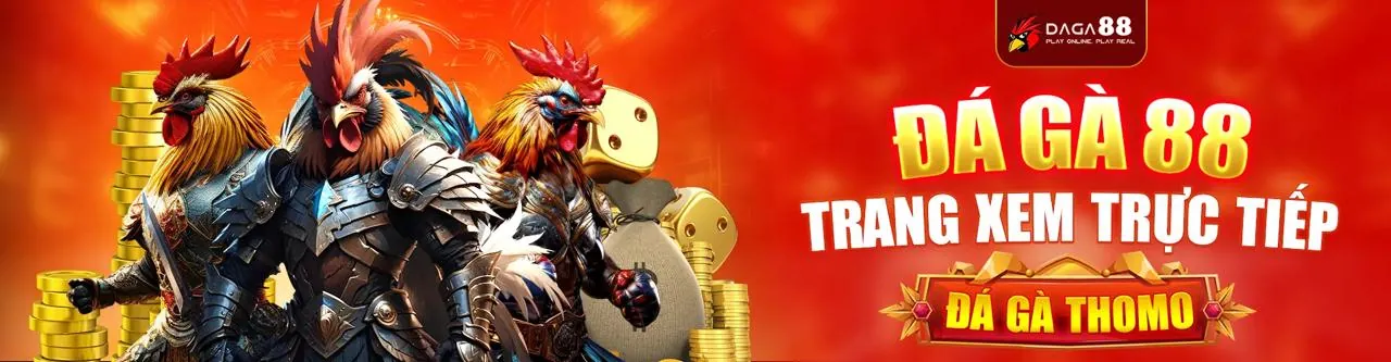 Sân đấu đá gà trực tuyến tại Cwin06 với cờ hiệu và ánh sáng rực rỡ